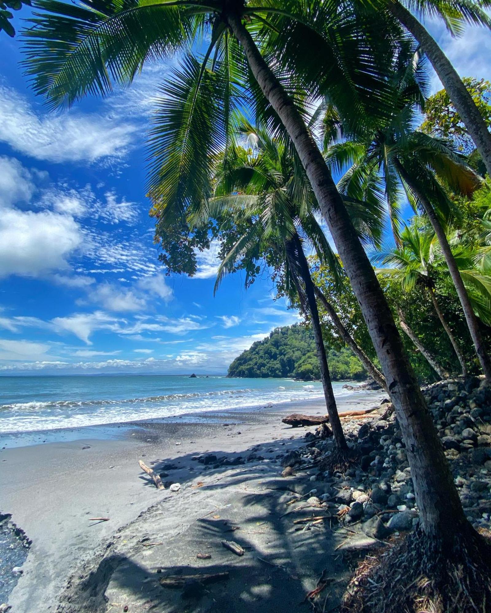 Makanda By The Sea Hotel Adults Only Manuel Antonio Exterior foto